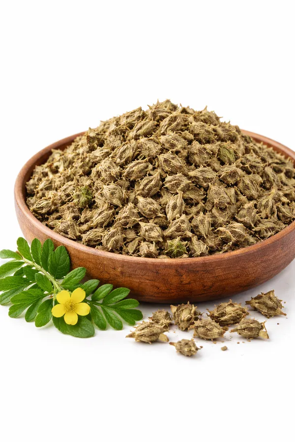Tribulus_Terrestris_Gokhru_Whole_Raw_Herbal_Material
